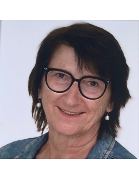 Gelerntes übertragen – Eine empirische Studie zu den subjektiven Perspektiven der Lernenden auf ihren Lern- und Praxistrans...